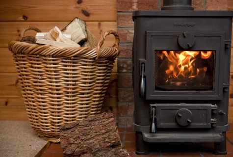 How to choose the potbelly stove to the dacha?